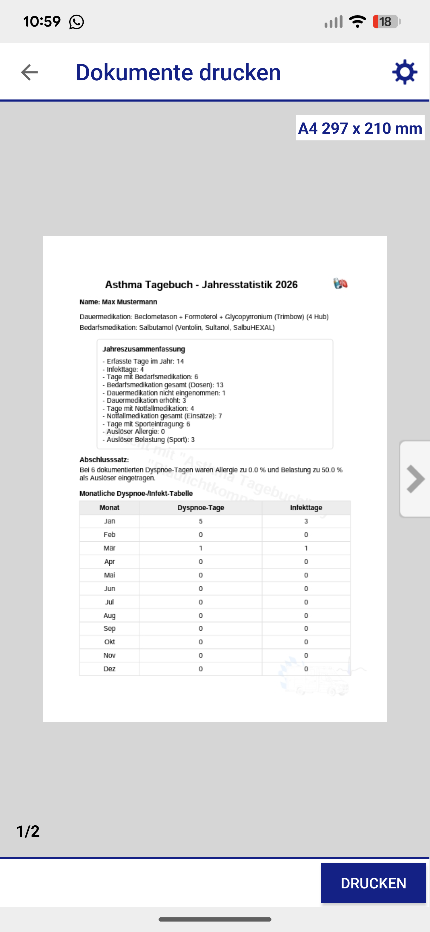 Screenshot der Dokumente-Drucken Ansicht
